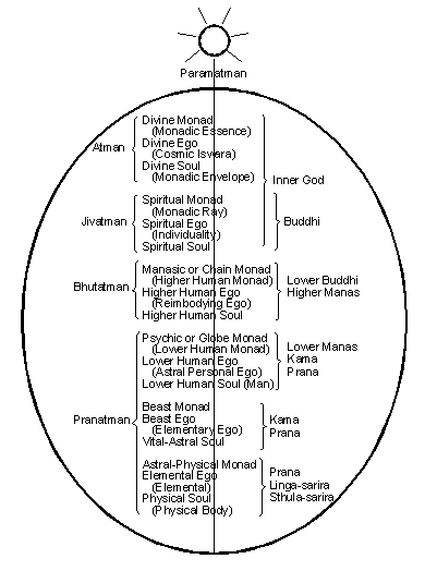 Diagram: septenary auric egg