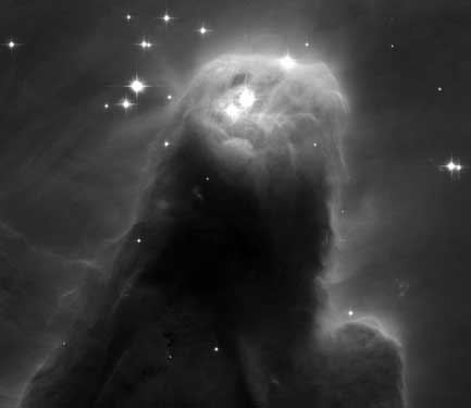 Star-forming Giant Pillar in Cone Nebula